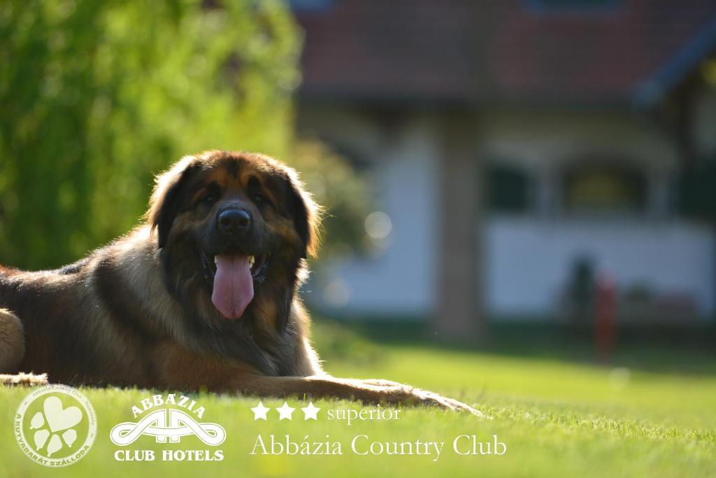 Abbazia Country Club Otel Nemesnép Dış mekan fotoğraf